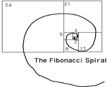 AR-FibonacciSequenceRoom3.jpg